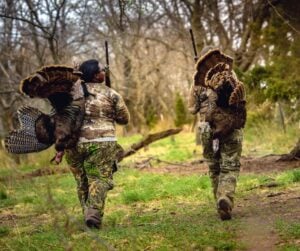 turkey hunting harvest