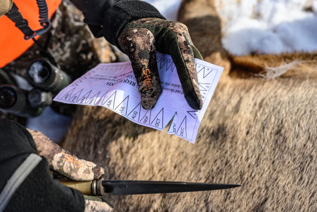 hunting tag