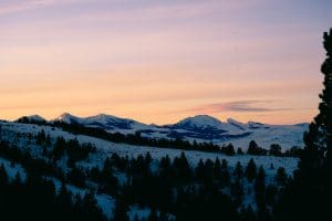 Winter